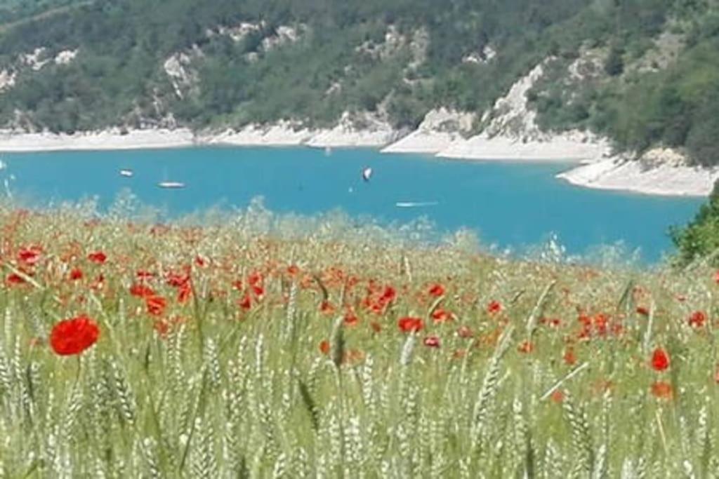 Gite De Charme : La Grange Au Lac Azur Treffort  Esterno foto