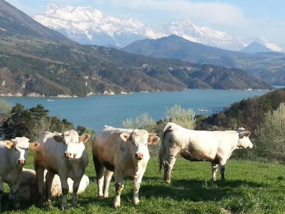 Gite De Charme : La Grange Au Lac Azur Treffort  Esterno foto
